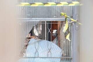 &ldquo;&lsquo;Ficamos desesperados, era muito fogo&rsquo;, diz vizinha sobre morte de fam&iacute;lia