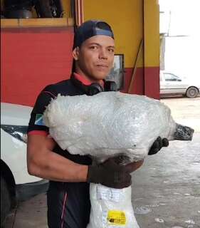 Preso por duplo feminic&iacute;dio j&aacute; tentou matar ex-namorada com 37 facadas