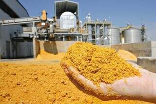 MS come&ccedil;a a exportar derivados do etanol de milho e sorgo para a China