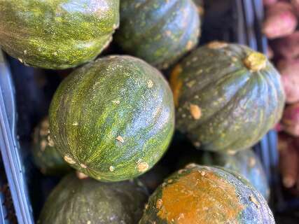 Ab&oacute;bora caboti&aacute; e pepino comum lideram quedas de pre&ccedil;os na Ceasa-MS nesta semana