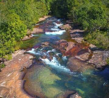 Festival Pantaneiro &eacute; dica de bate e volta para curtir m&uacute;sica e natureza