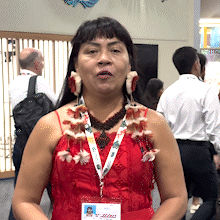 Lideran&ccedil;as ressaltam a import&acirc;ncia das vozes ind&iacute;genas na COP30