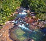 Festival Pantaneiro é dica de bate e volta para curtir música e natureza
