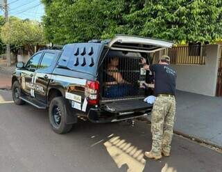 A&ccedil;&atilde;o contra golpe do falso advogado cumpre mandados em quatro cidades de MS