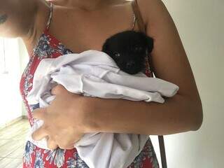 H&aacute; 3 anos Luna sumiu de hotel pet, mas Ni&aacute;ria n&atilde;o cansa de procurar