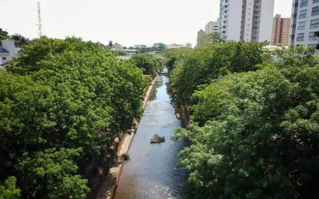 Modelo de florestas urbanas de Campo Grande ser&aacute; apresentado na COP30