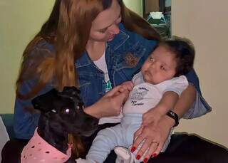 H&aacute; 3 anos Luna sumiu de hotel pet, mas Ni&aacute;ria n&atilde;o cansa de procurar