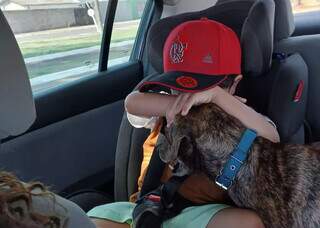 H&aacute; 3 anos Luna sumiu de hotel pet, mas Ni&aacute;ria n&atilde;o cansa de procurar