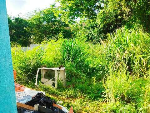 Pai denuncia mato alto e abandono em escola municipal no Octávio Pécora