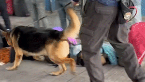 Corumb&aacute; &eacute; corredor humano da coca&iacute;na sob o comando do PCC, invis&iacute;vel ao Estado