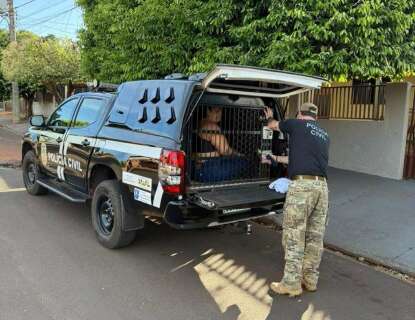 A&ccedil;&atilde;o contra golpe do falso advogado cumpre mandados em quatro cidades de MS