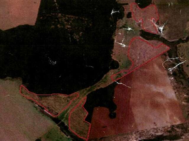 Propriet&aacute;rio rural &eacute; multado por desmatar 92 hectares do Cerrado sem autoriza&ccedil;&atilde;o