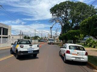 Interdi&ccedil;&atilde;o de 5 ruas para remover &aacute;rvore deixa tr&acirc;nsito lento no Itanhang&aacute; Park