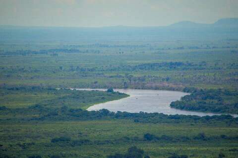 Pantanal de MS perdeu 4,3 milh&otilde;es de hectares de vegeta&ccedil;&atilde;o