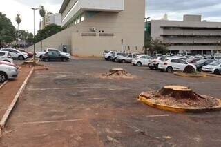 Árvores que faziam sombra em estacionamento da Central do Cidadão são removidas Árvores que faziam sombra em estacionamento da Central do Cidadão são removidas