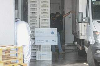 Pol&iacute;cia apreende cinco toneladas de til&aacute;pia sem nota fiscal em Campo Grande