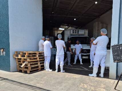 Pol&iacute;cia apreende cinco toneladas de til&aacute;pia sem nota fiscal em Campo Grande