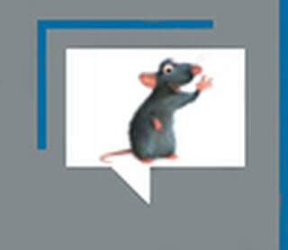 Envelhecimento: as células zumbis se acumulam em nosso corpo Envelhecimento: as células zumbis se acumulam em nosso corpo