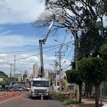 Interdi&ccedil;&atilde;o de 5 ruas para remover &aacute;rvore deixa tr&acirc;nsito lento no Itanhang&aacute; Park