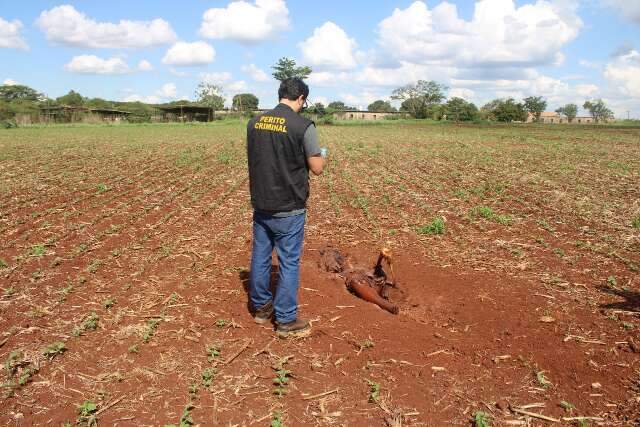 Encontrado enterrado em cova rasa, homem foi morto a golpes de machadinha 