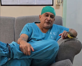 &ldquo;Corpo virou transporte barato e cruel&quot;, diz m&eacute;dico que salva mulas do tr&aacute;fico