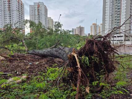 Chuva que provocou alagamentos foi de 89 mm com ventos de 45 km/h