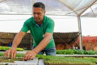 Valmir trocou a farda pela horta e hoje colhe 50 mil pés de hortaliças Valmir trocou a farda pela horta e hoje colhe 50 mil pés de hortaliças