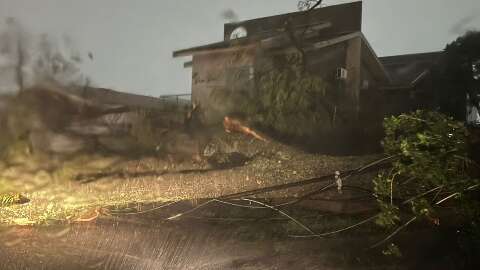 &Aacute;rvore de grande porte cai e bloqueia rua no bairro Ch&aacute;cara Cachoeira