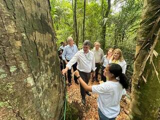 Riedel refor&ccedil;a papel dos estados no licenciamento ambiental durante a COP30