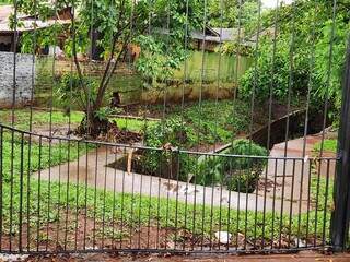Manhã após temporal tem limpeza e retirada de galhos na Praça Itanhangá Manhã após temporal tem limpeza e retirada de galhos na Praça Itanhangá