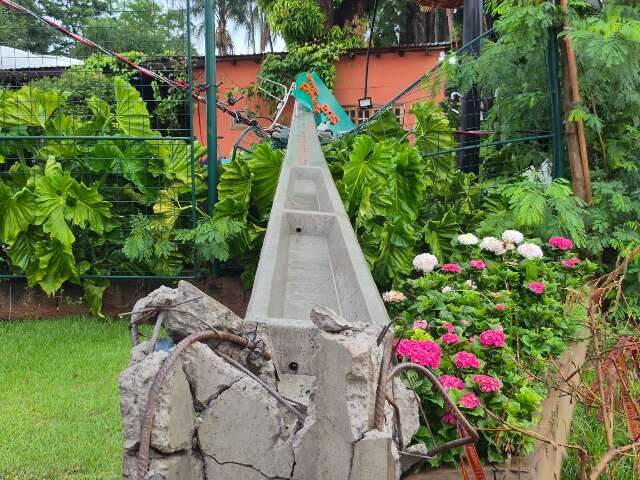 Poste cai sobre port&atilde;o de floricultura e &aacute;rvore bloqueia tr&acirc;nsito em rotat&oacute;ria