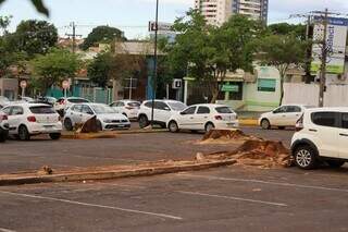 Prefeitura diz que &aacute;rvores removidas na Central do Cidad&atilde;o apresentavam riscos