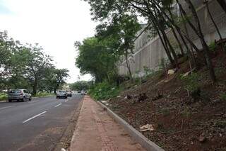 Com &aacute;rea verde em queda, Campo Grande corre contra o calor e os alagamentos