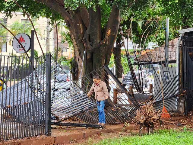 Manh&atilde; ap&oacute;s temporal tem limpeza e retirada de galhos na Pra&ccedil;a Itanhang&aacute;