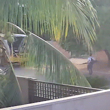 Ap&oacute;s trag&eacute;dia com estudante, gerente municipal de transporte &eacute; exonerado