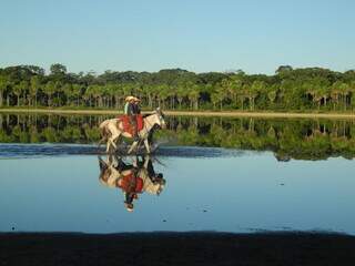 Plataforma que monitora pecuária sustentável se expande no Pantanal Plataforma que monitora pecuária sustentável se expande no Pantanal