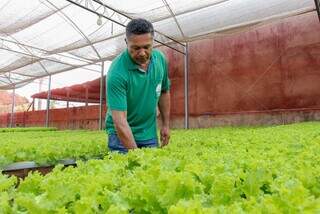 Valmir trocou a farda pela horta e hoje colhe 50 mil pés de hortaliças Valmir trocou a farda pela horta e hoje colhe 50 mil pés de hortaliças