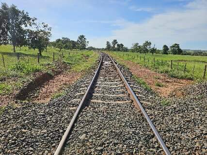 F&aacute;brica de celulose recebe licen&ccedil;a para implantar ramal ferrovi&aacute;rio em MS