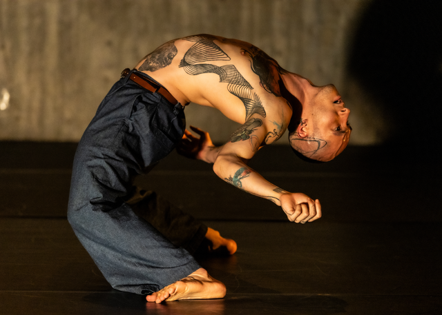 MS Dance Fest retorna com batalhas, workshops e muita dan&ccedil;a