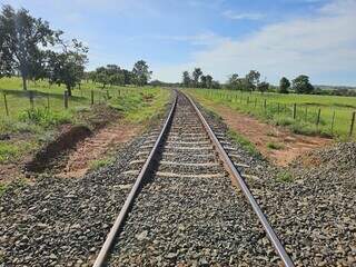 F&aacute;brica de celulose recebe licen&ccedil;a para implantar ramal ferrovi&aacute;rio em MS