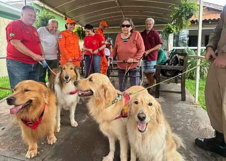 Aos 81 anos, o melhor presente de Gerusa foi visita de c&atilde;o bombeiro