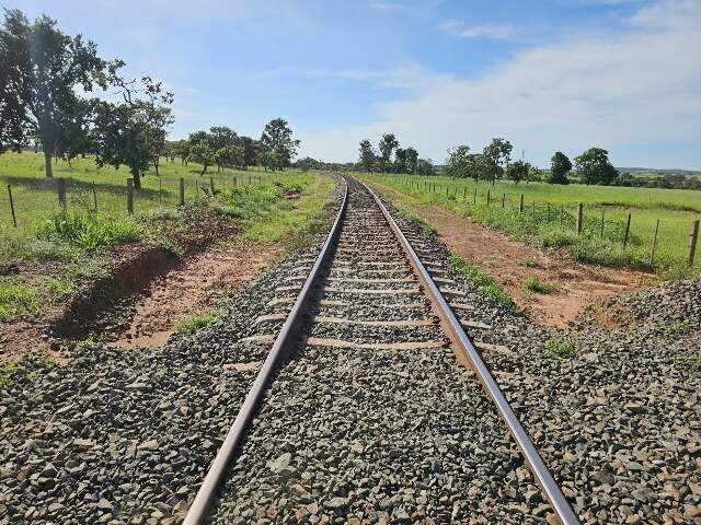 F&aacute;brica de celulose recebe licen&ccedil;a para implantar ramal ferrovi&aacute;rio em MS