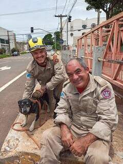 Cadela idosa é resgatada por bombeiros após cair no Rio Anhanduí Cadela idosa é resgatada por bombeiros após cair no Rio Anhanduí