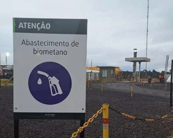 MS refor&ccedil;a compromisso do Brasil com transi&ccedil;&atilde;o energ&eacute;tica na COP 30