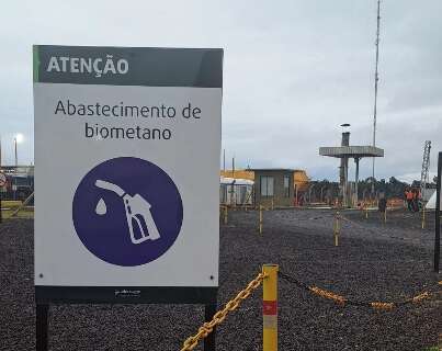 MS refor&ccedil;a compromisso do Brasil com transi&ccedil;&atilde;o energ&eacute;tica na COP 30