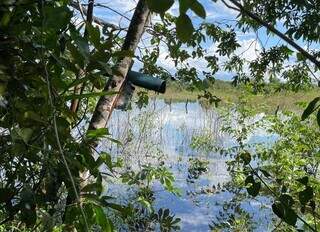 Projeto que monitora o Pantanal será financiado pelo 3º homem mais rico do mundo Projeto que monitora o Pantanal será financiado pelo 3º homem mais rico do mundo