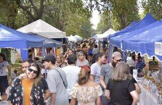 Domingo tem Feira Bosque da Paz e show de humor com Afonso Padilha