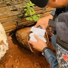 PM encontra pistola usada em tentativa de homic&iacute;dio enterrada em terreno