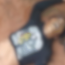 Ind&iacute;gena guarani &eacute; morto com um tiro na nuca em territ&oacute;rio reivindicado