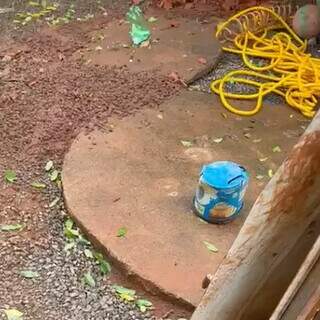 Creche clandestina volta a operar e mulher admite cobrar R$ 400 por criança Creche clandestina volta a operar e mulher admite cobrar R$ 400 por criança